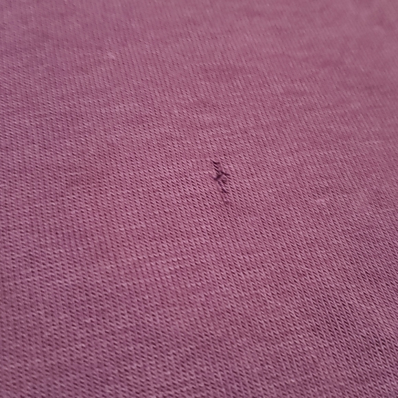 Nightowl Saloon Walnut Ill polo shirt sz medium - Picture 4 of 8